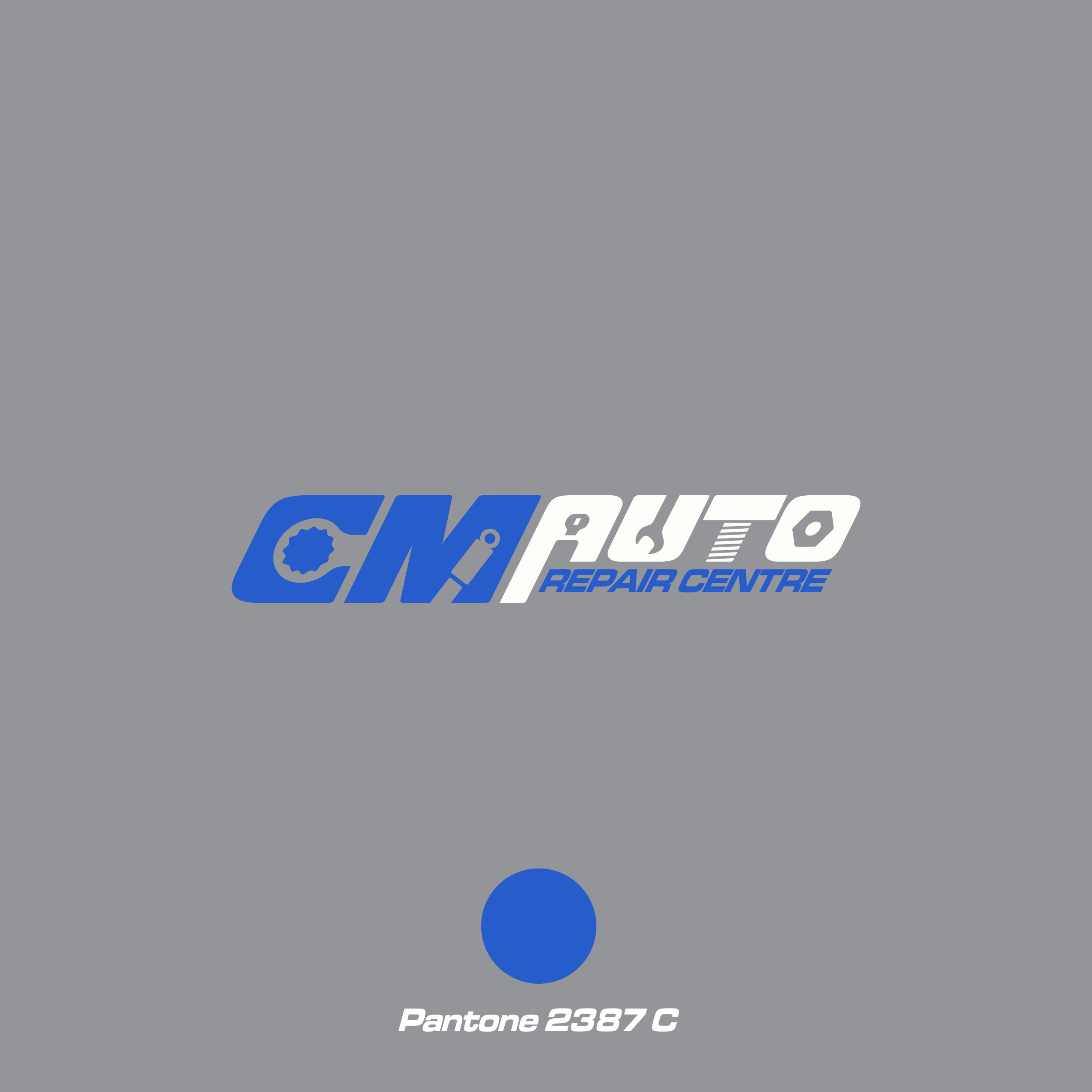 CM Auto Repair Centre